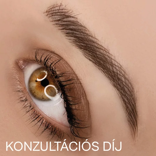 Konzultációs díj