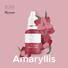 Kép 2/5 - ROSA Blossom Lip – Amarylis - 10ml