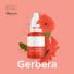 Kép 2/2 - ROSA Blossom Lip – Gerbera - 10ml